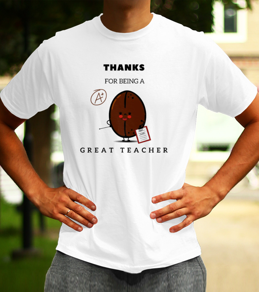 THANKS FOR BEING A GREAT TEACHER A+ T-Shirt