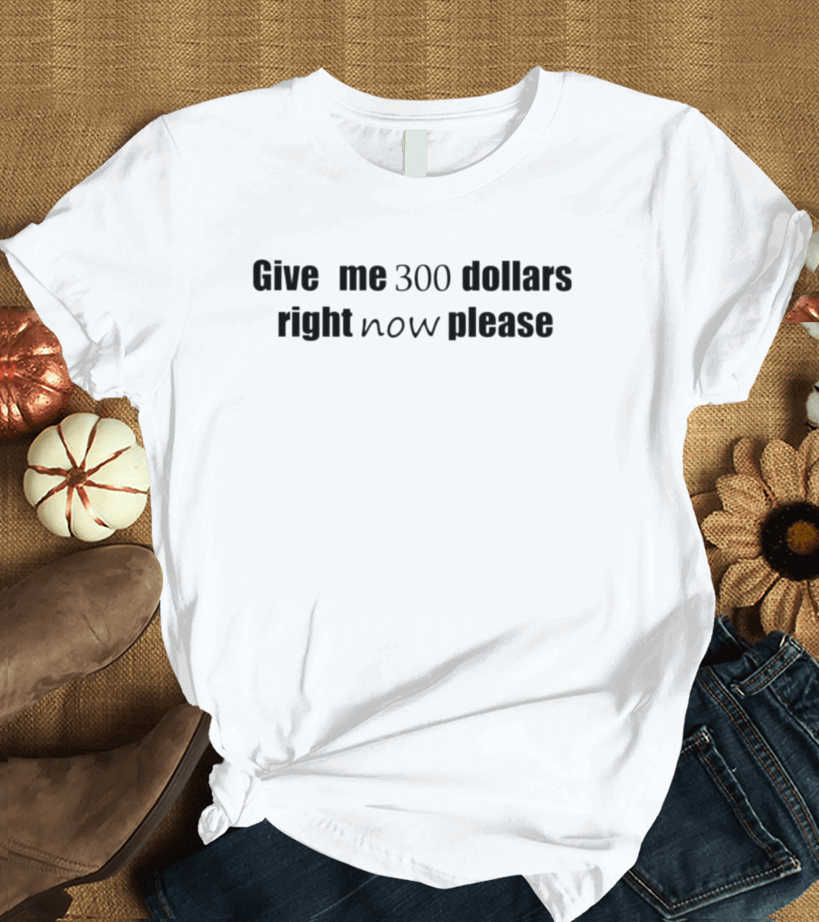 Give Me 300 Dollars Right Now Please T-Shirt