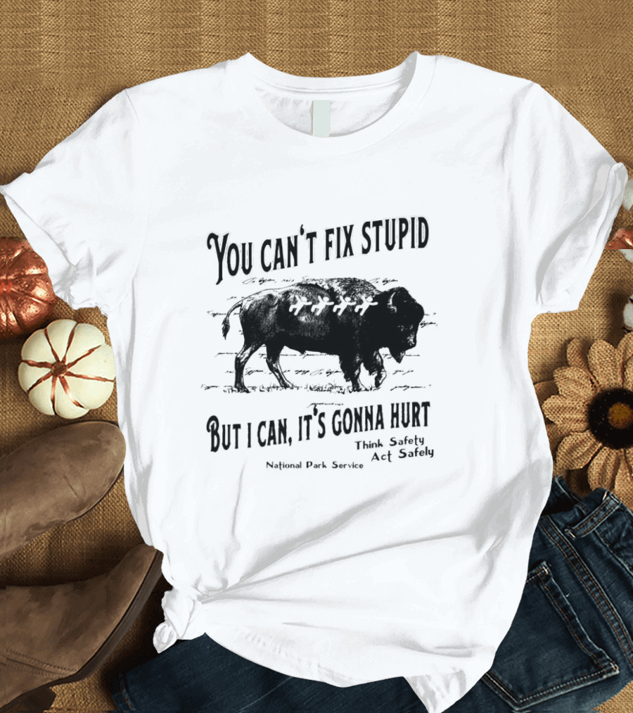 You Can't Fix Stupid But I Can, It's Gonna Hurt Think Safety Act Safely National Park Service T-Shirt