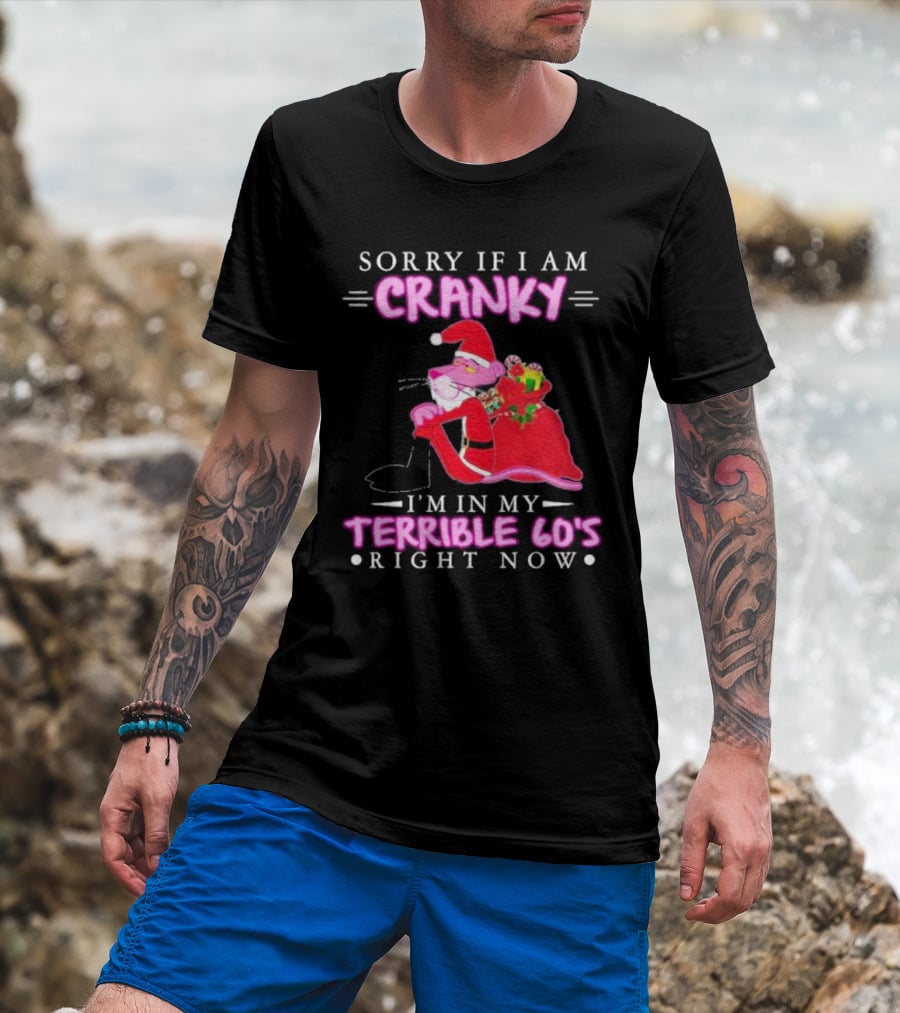 Sorry If I Am Cranky Pink Panther Santa I'm In My Terrible 60's Right Now T-Shirt