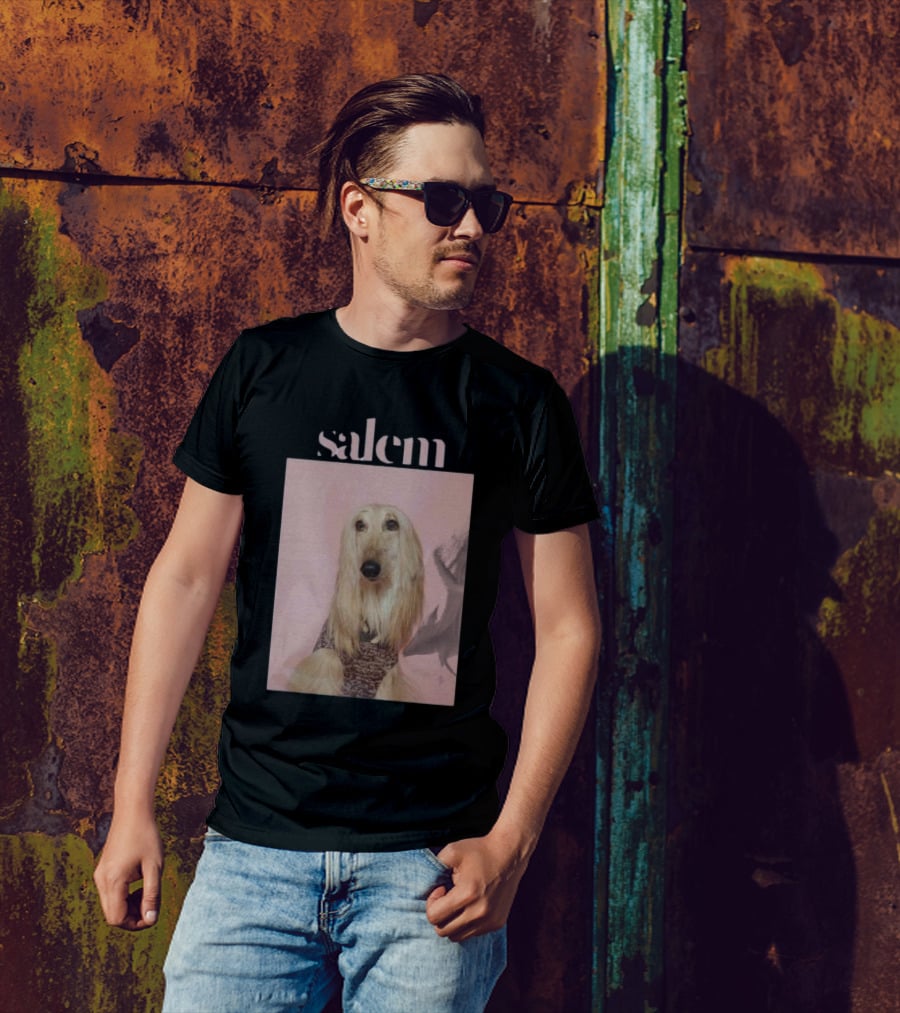 Salem Ilese Dog Afghan Hound Portrait On Pink Background T-Shirt