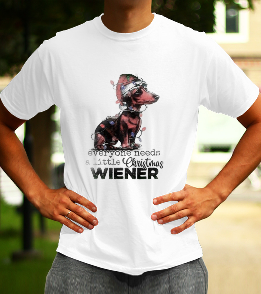 Everyone Needs A Little Christmas Wiener Dachshund With Lights And Santa Hat T-Shirt