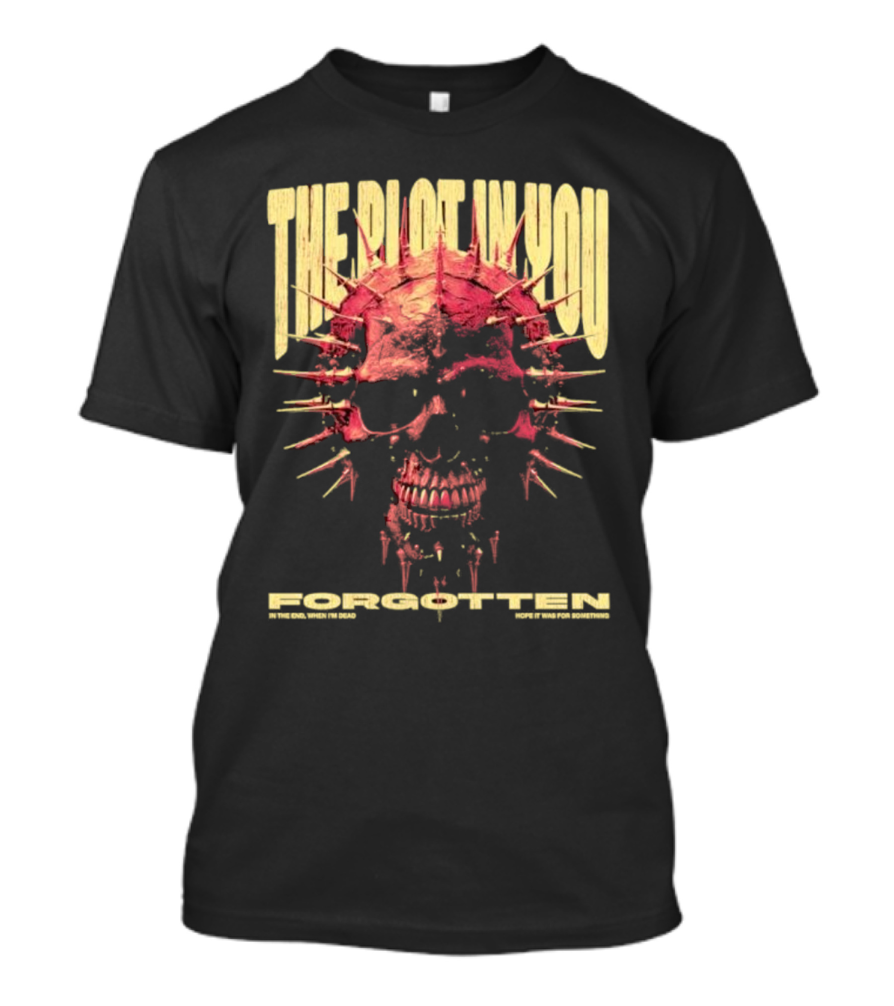 The Plot In You Forgotten Skull Hope It Was For Something T-Shirt