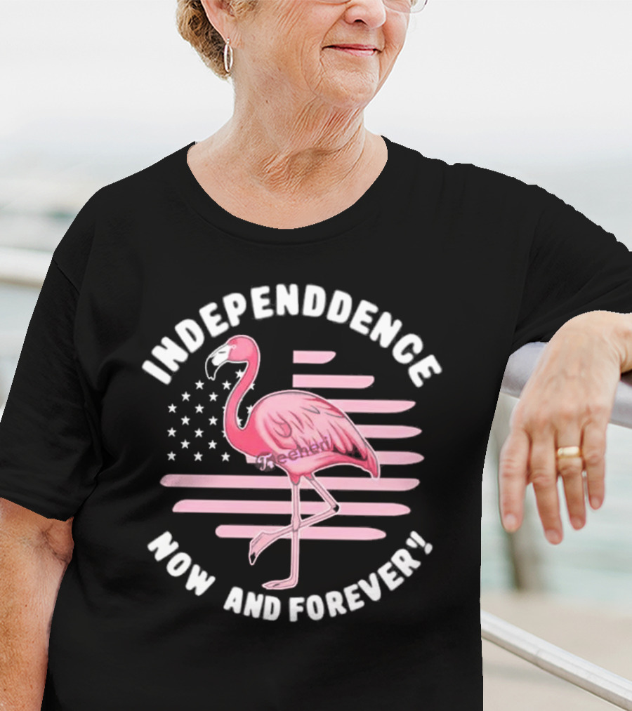 Independence Now And Forever Flamingo America Flag T-Shirt