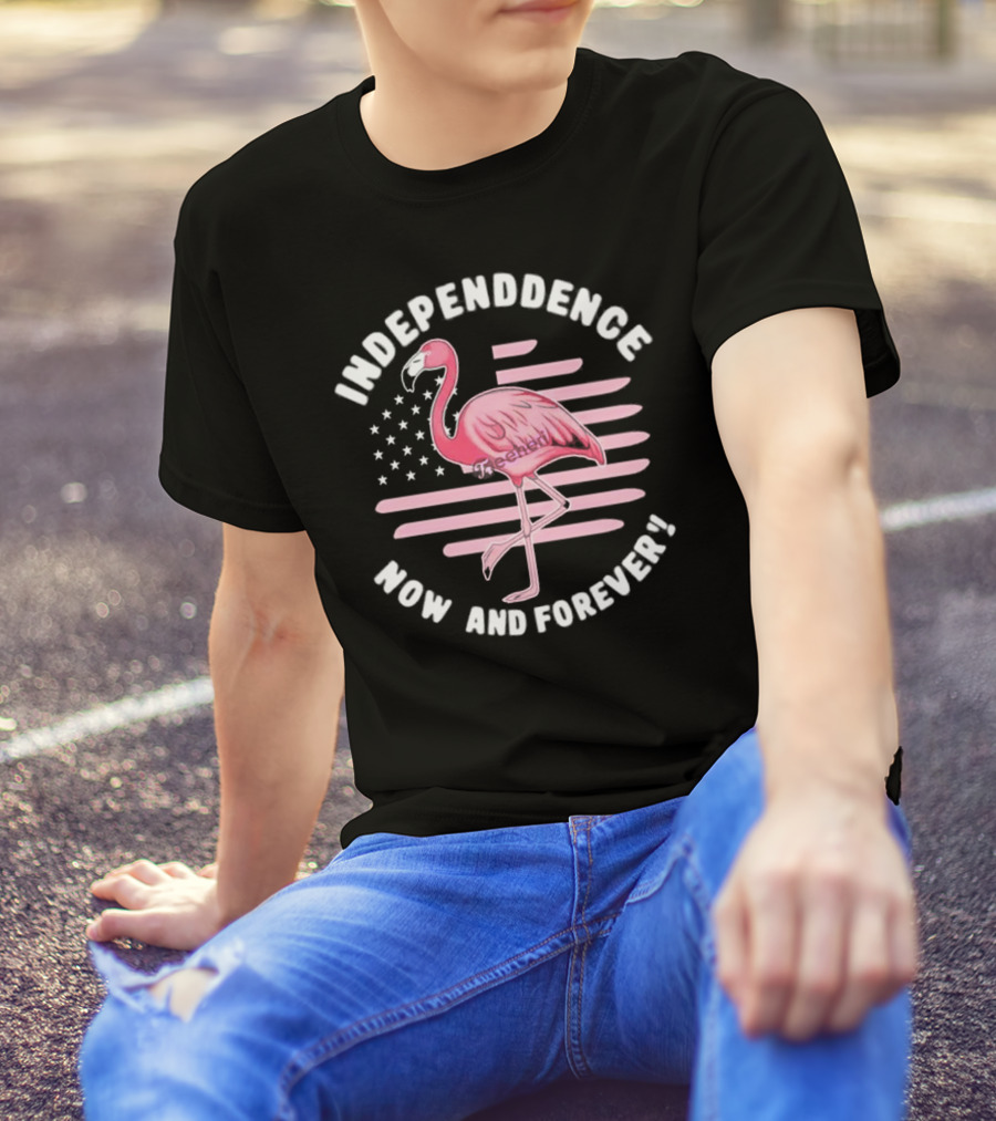 Independence Now And Forever Flamingo America Flag T-Shirt