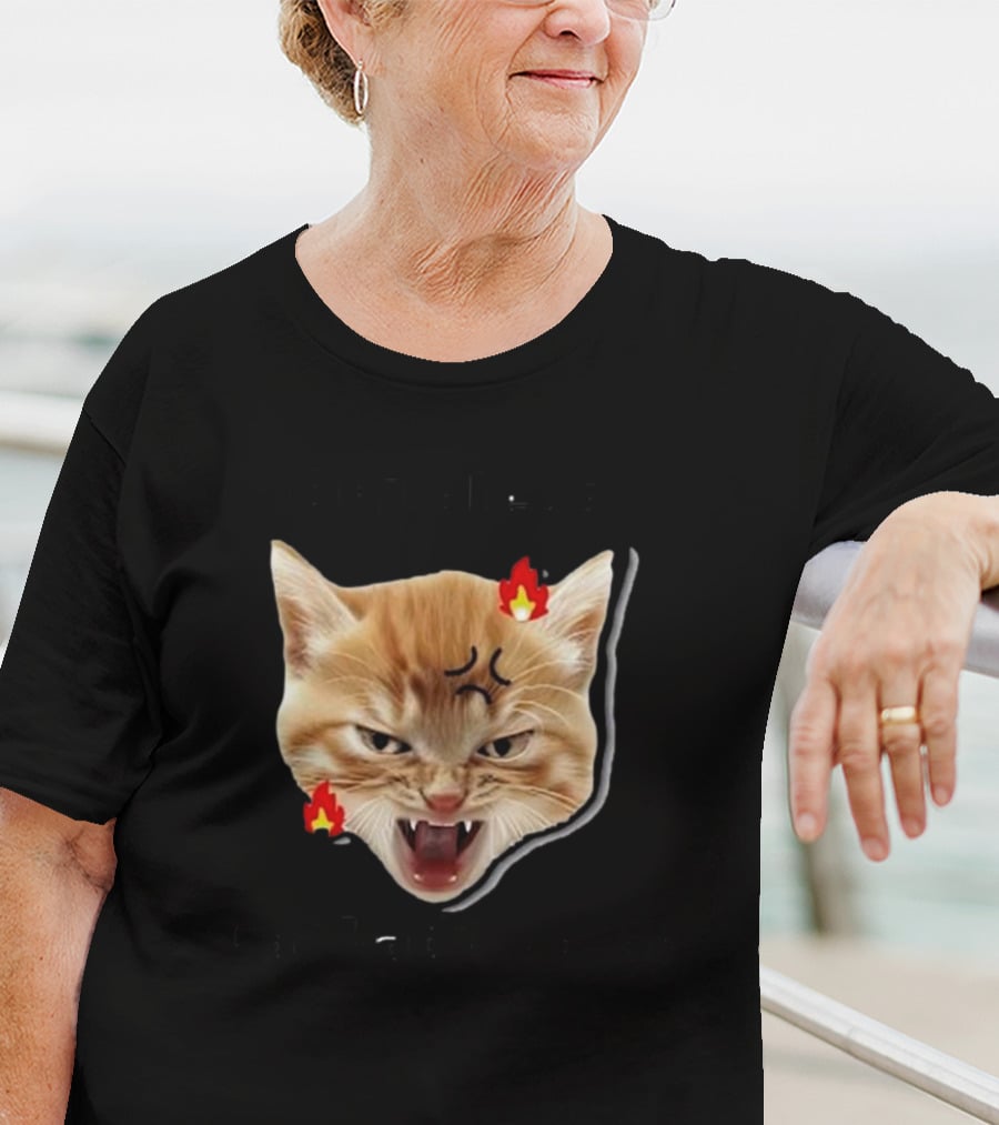 Childless Angry Cat Lady Voter Flame Emoji T-Shirt