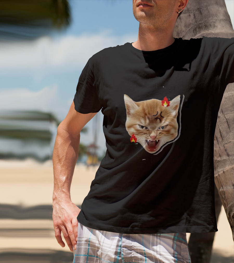 Childless Angry Cat Lady Voter Flame Emoji T-Shirt