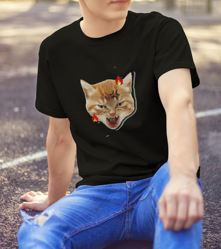 Childless Angry Cat Lady Voter Flame Emoji T-Shirt