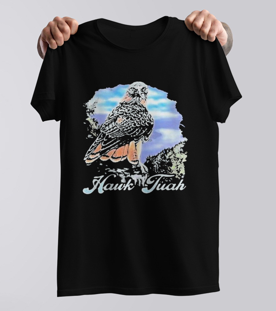 Hawk Tuah Scenic 70s Vintage Style Bird T-Shirt
