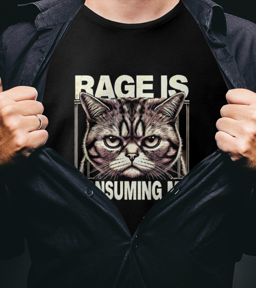 Rage Is Consuming Me Angry Cat Meme T-Shirt