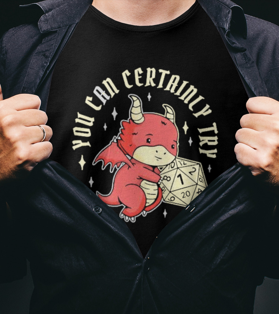 You Can Certainly Try Dragon Holding 20-Sided Die Tabletop Role Playing Game T-Shirt