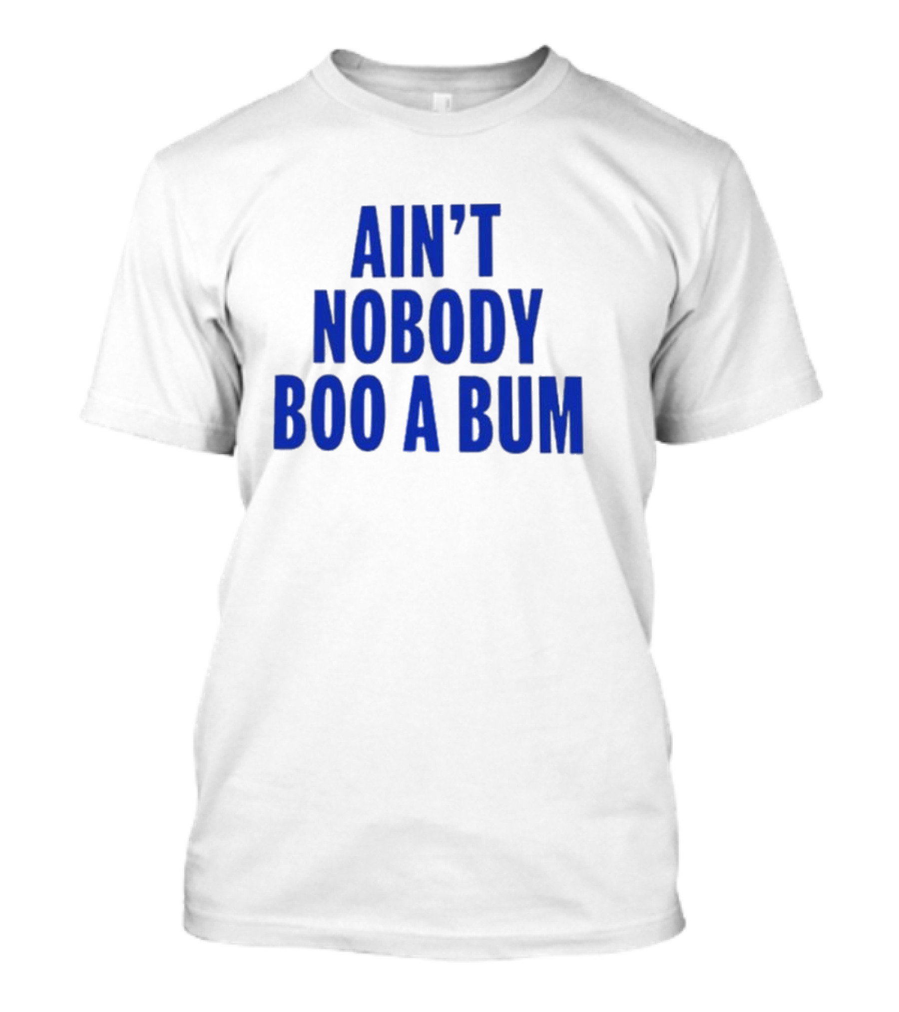 Ain't Nobody Boo A Bum T-Shirt