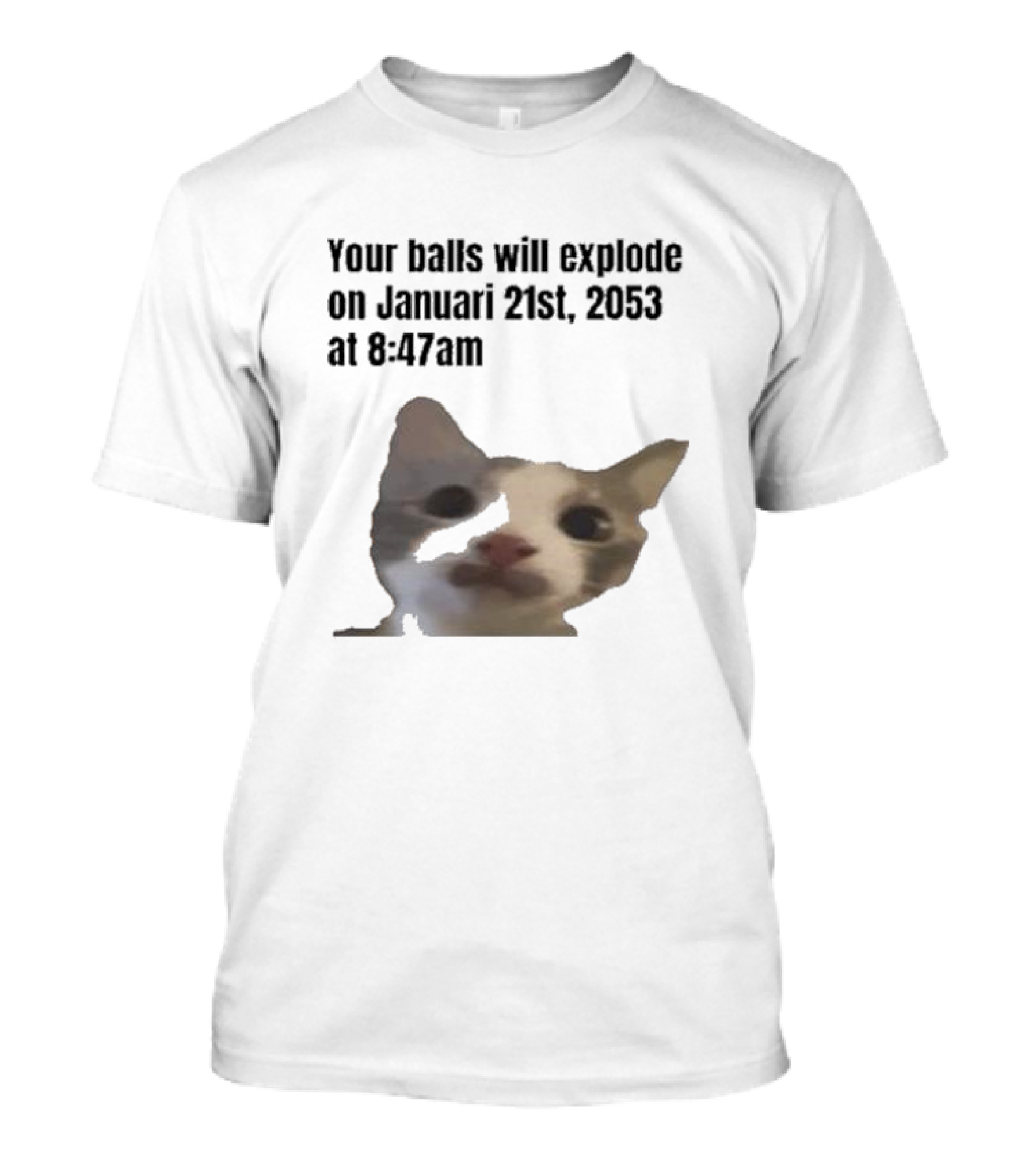 Your Balls Will Explode January 21st 2053 8:47am Cat Meme T-Shirt