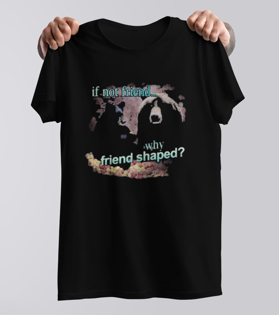 If Not Friend Why Friend Shaped Bear T-Shirt