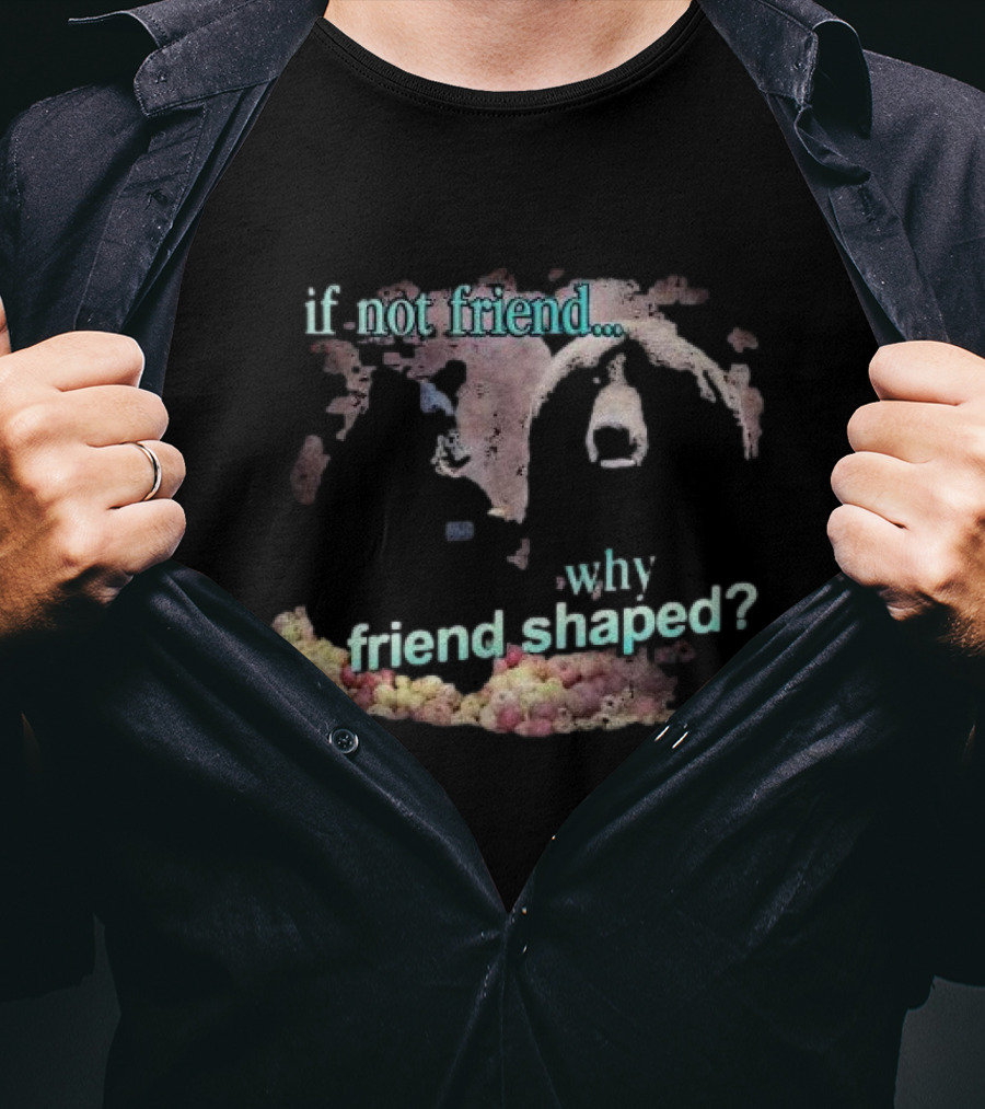 If Not Friend Why Friend Shaped Bear T-Shirt
