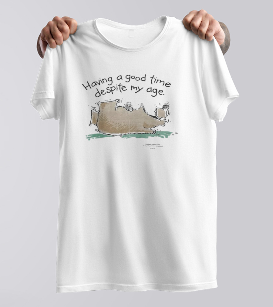 Having A Good Time Despite My Age Funny Bear Relaxing T-Shirt