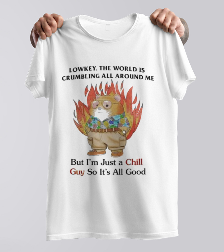 Chill Guy With World Crumbling Fire Background T-Shirt