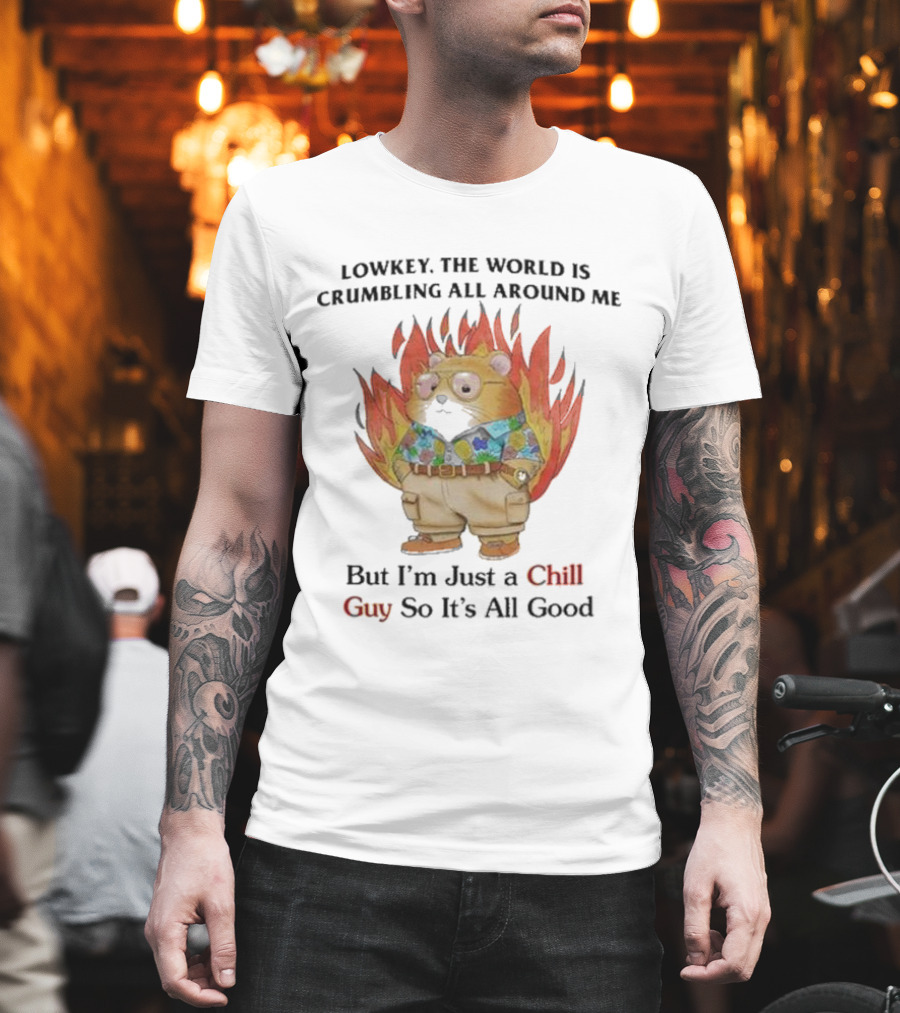 Chill Guy With World Crumbling Fire Background T-Shirt