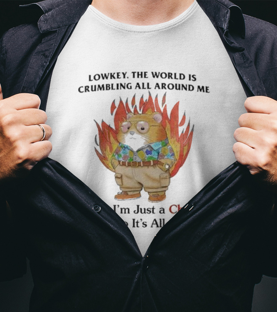 Chill Guy With World Crumbling Fire Background T-Shirt