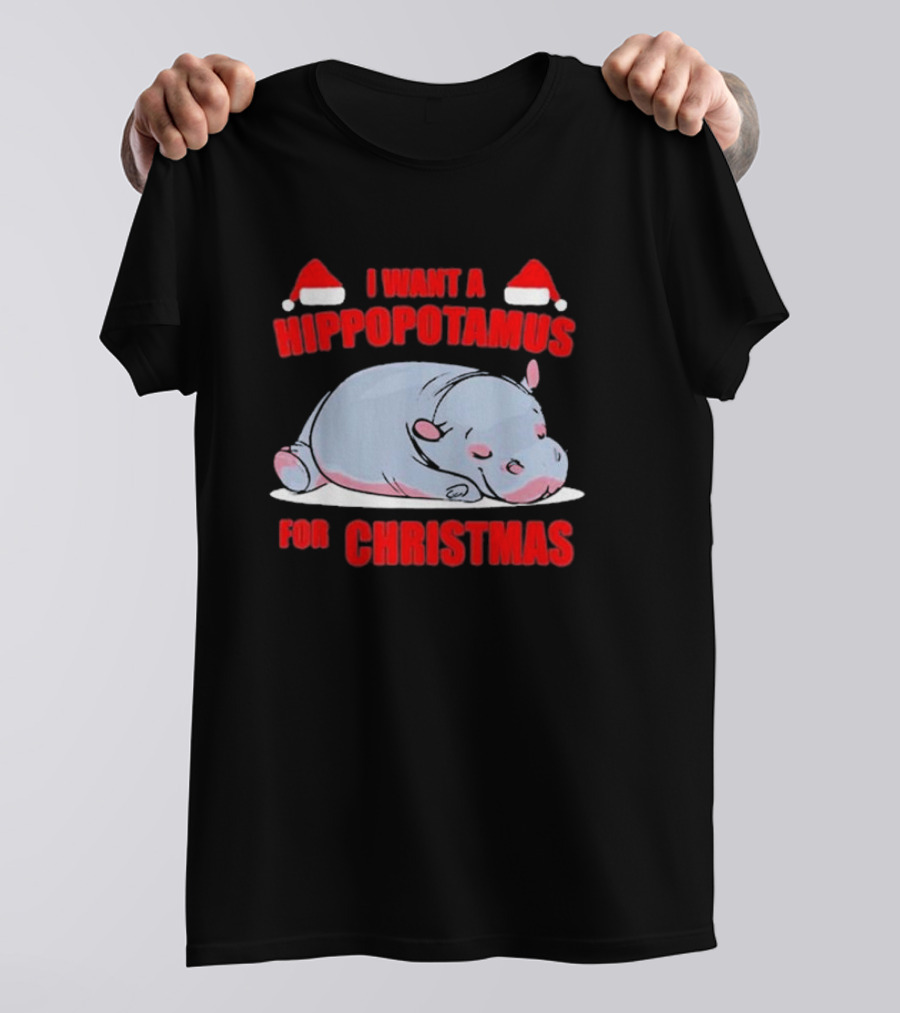 I Want A Hippopotamus For Christmas With Santa Hats T-Shirt