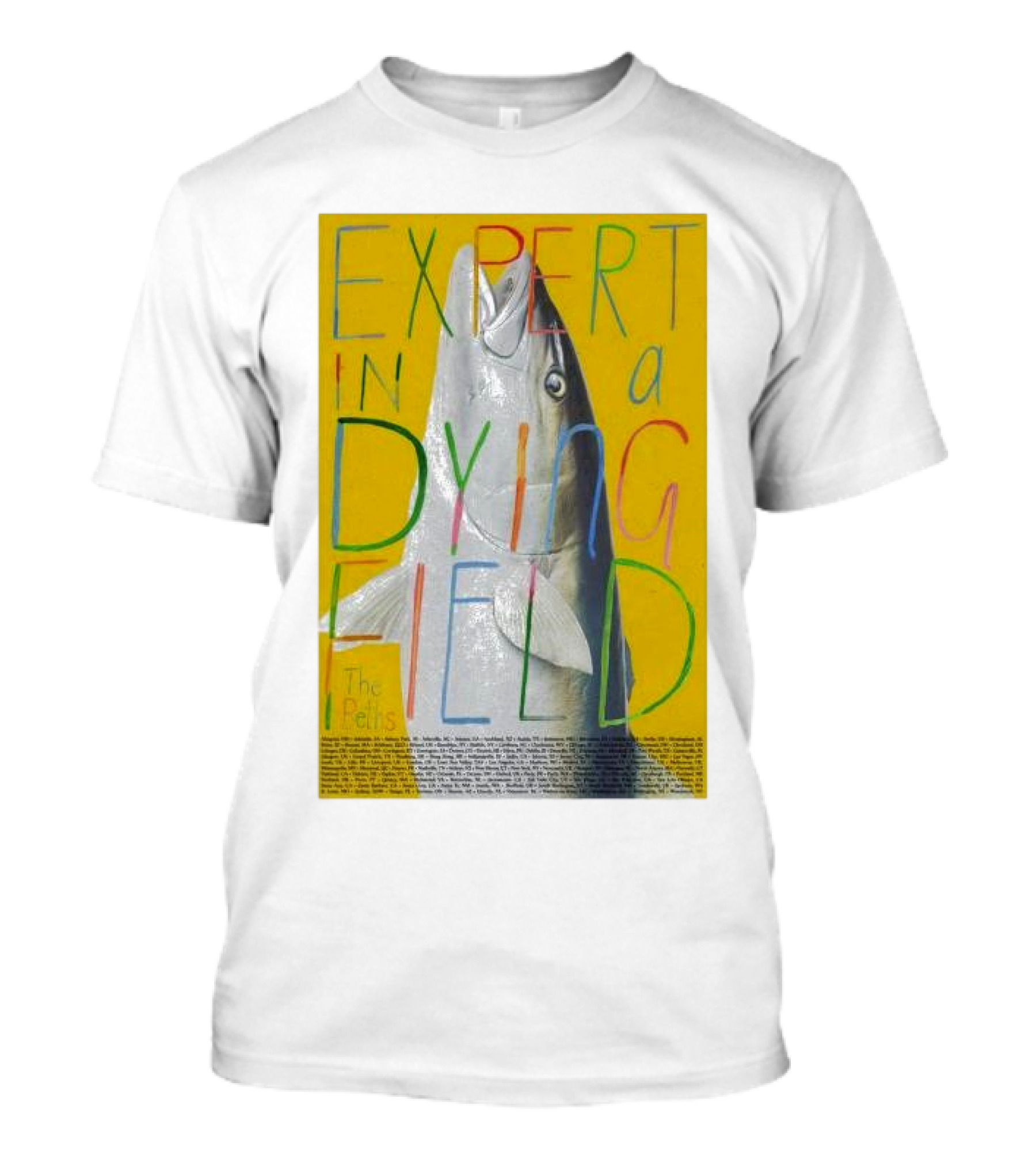 Expert In A Dying Field The Beths Colorful Lettering Fish Image T-Shirt