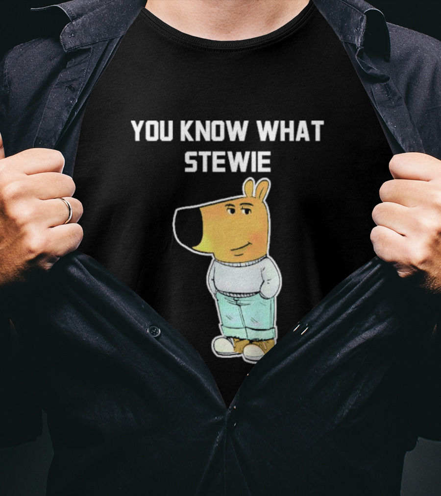 You Know What Stewie Chill Guy Sweater Cartoon T-Shirt