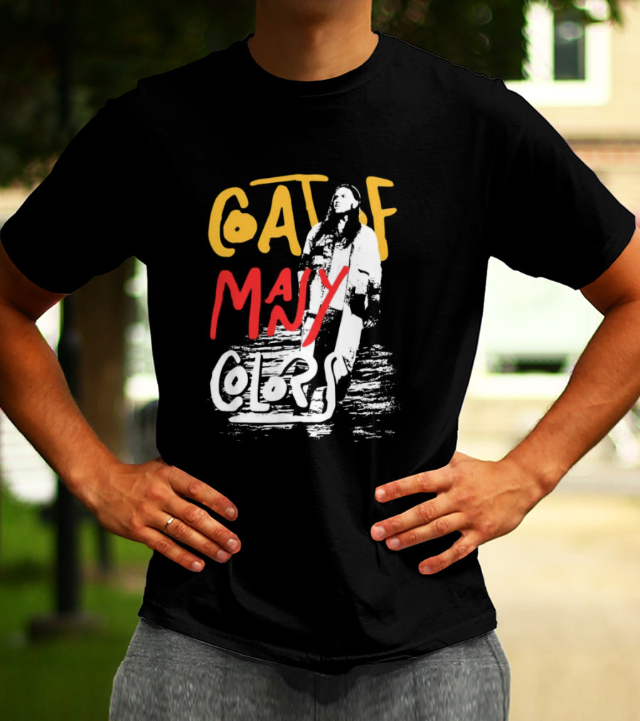 Brandon Lake Coat Of Many Colors T-Shirt