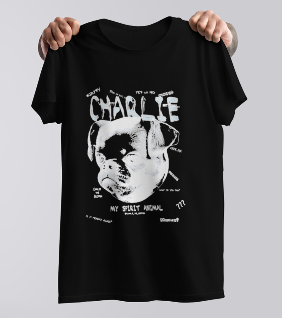 Charlie Griffon My Spirit Animal ??? Zen Surrendering Grumpy T-Shirt