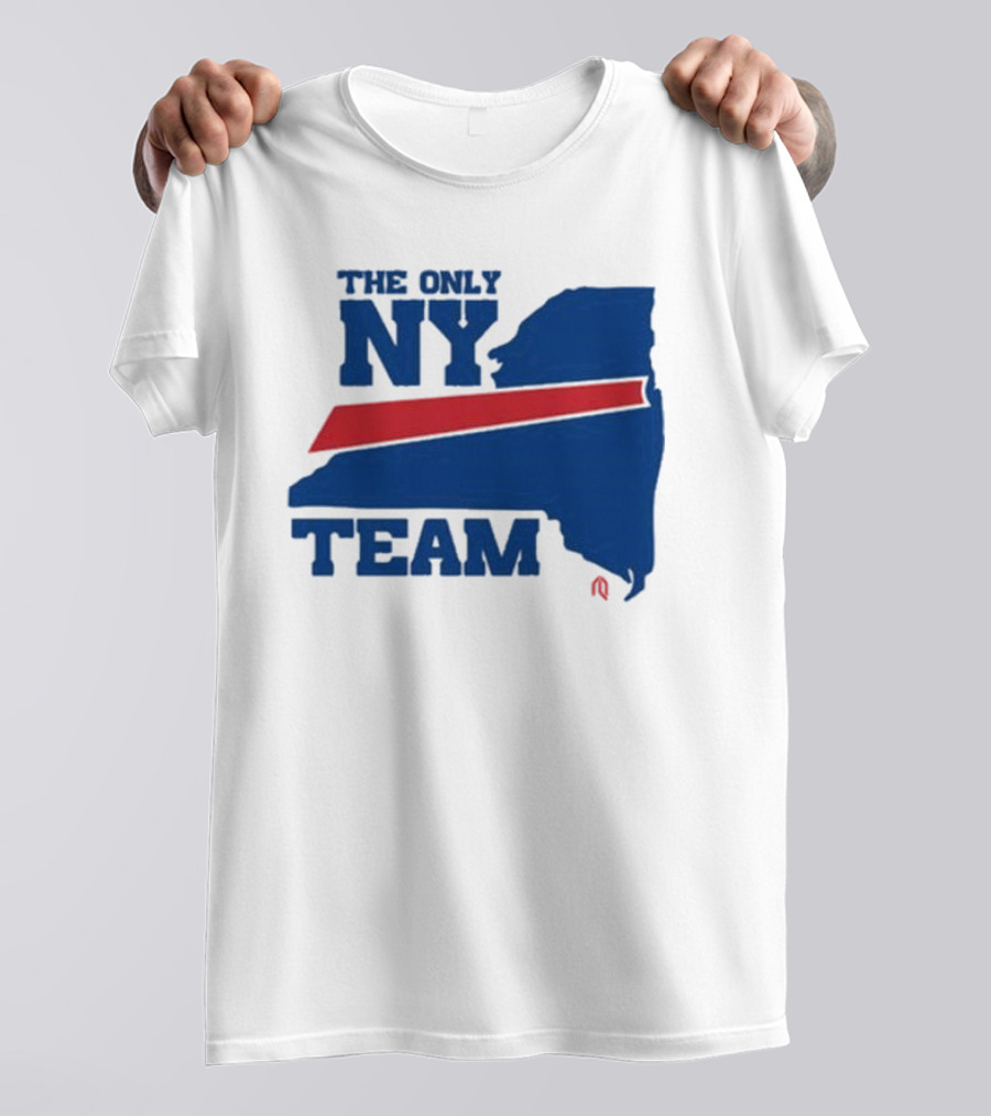 The Only NY Team New York State Silhouette Red Stripe T-Shirt