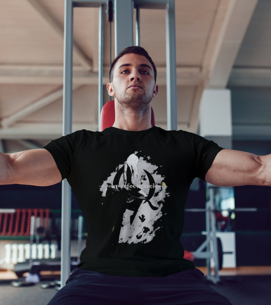 A Perfect Circle Grunge Style Angel Figure With Crescent T-Shirt