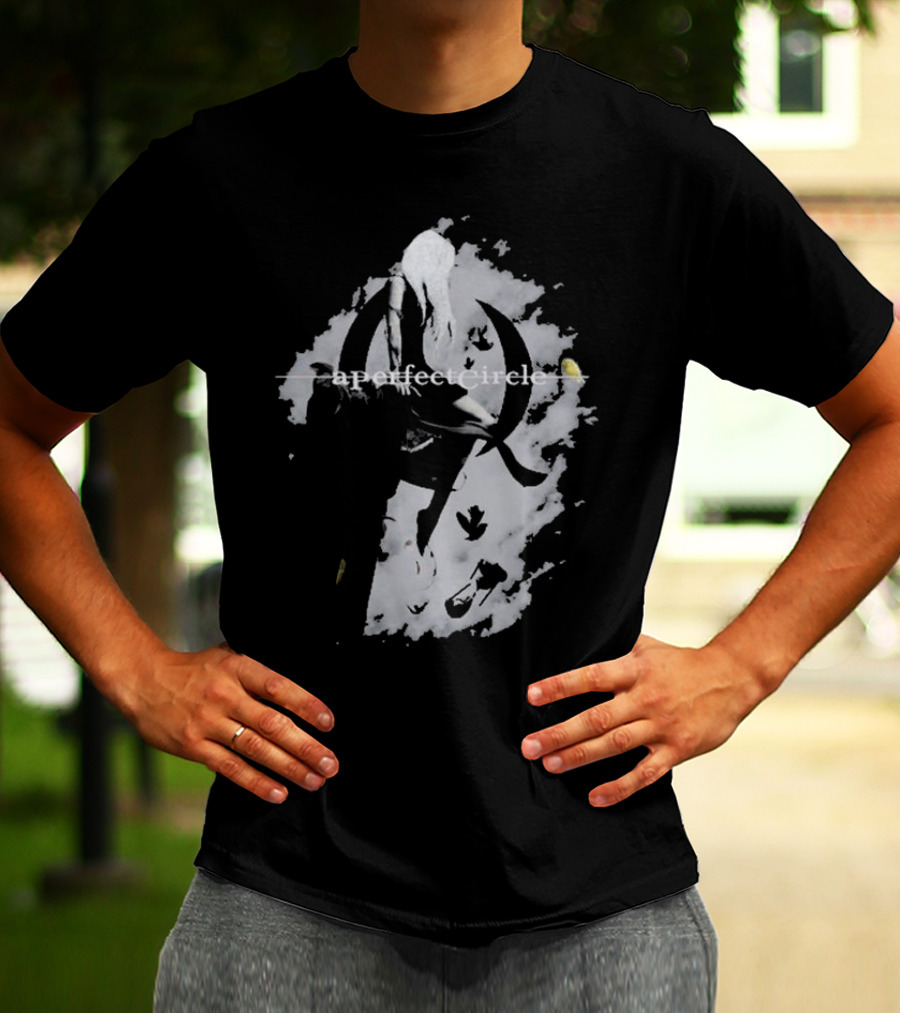 A Perfect Circle Grunge Style Angel Figure With Crescent T-Shirt