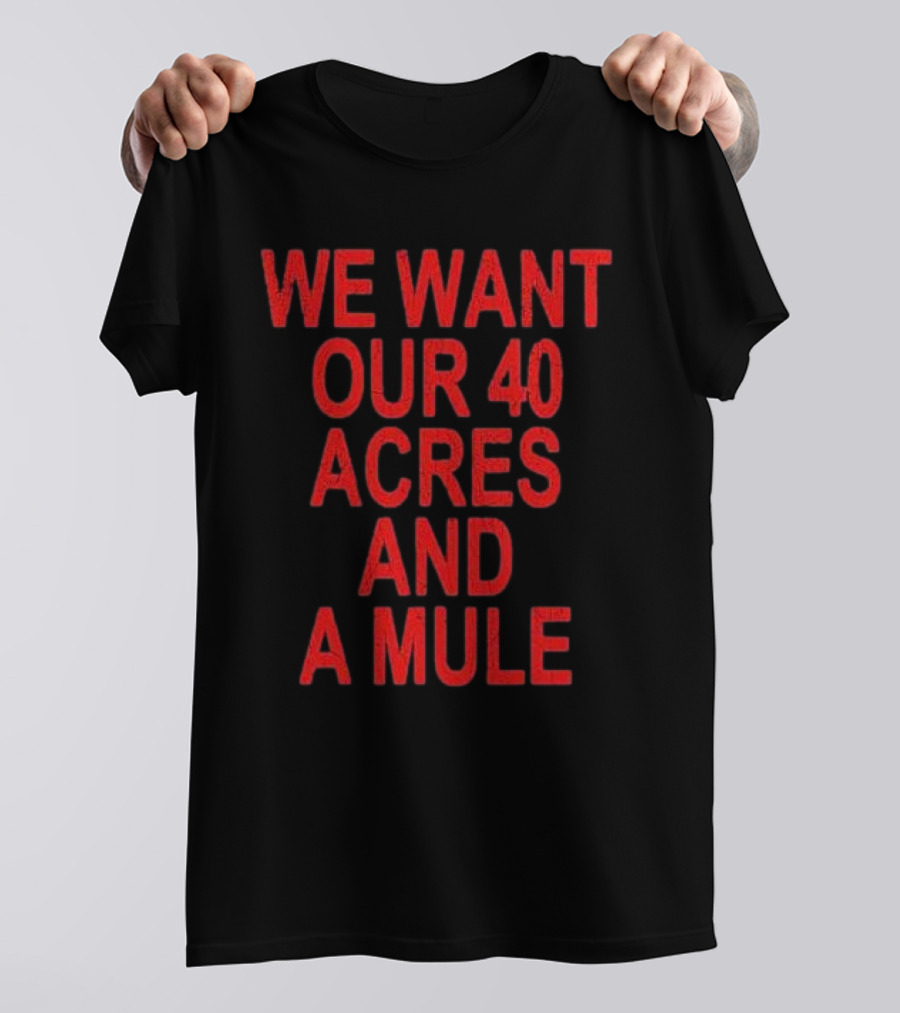 Spike Lee We Want Our 40 Acres And A Mule T-Shirt