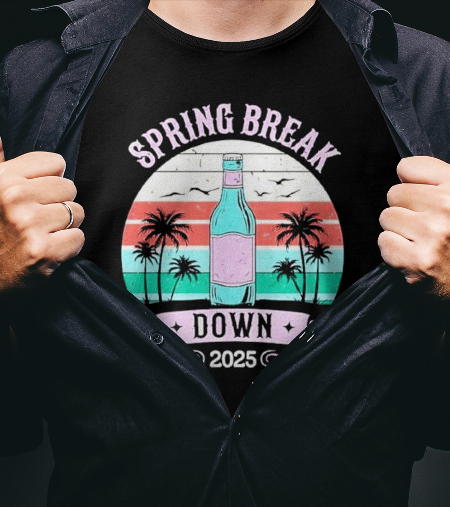 Spring Break Down 2025 Bottle Palms Retro Stripes Vintage Vibe T-Shirt