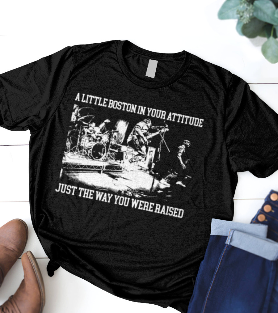 A Little Boston In Your Attitude Just The Way You Were Raised The Menzingers T-Shirt