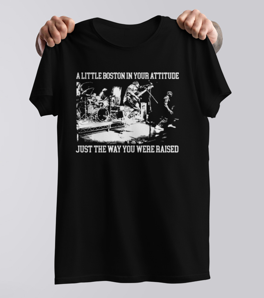 A Little Boston In Your Attitude Just The Way You Were Raised The Menzingers T-Shirt