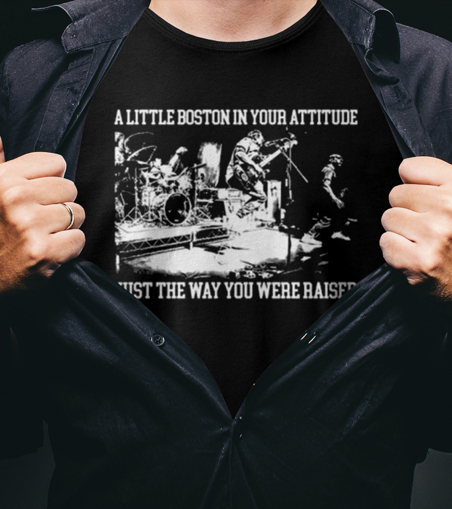 A Little Boston In Your Attitude Just The Way You Were Raised The Menzingers T-Shirt