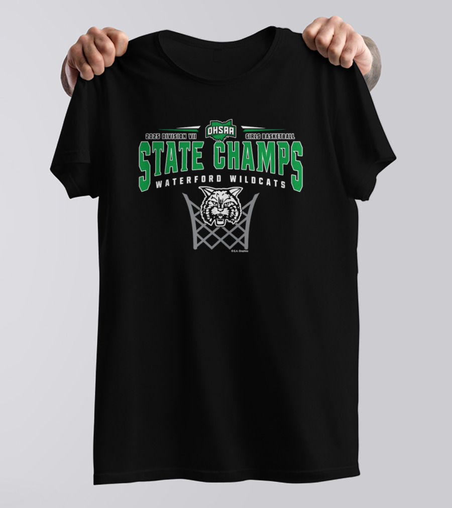 2025 Division VII State Champs Waterford Wildcats Girls Basketball T-Shirt