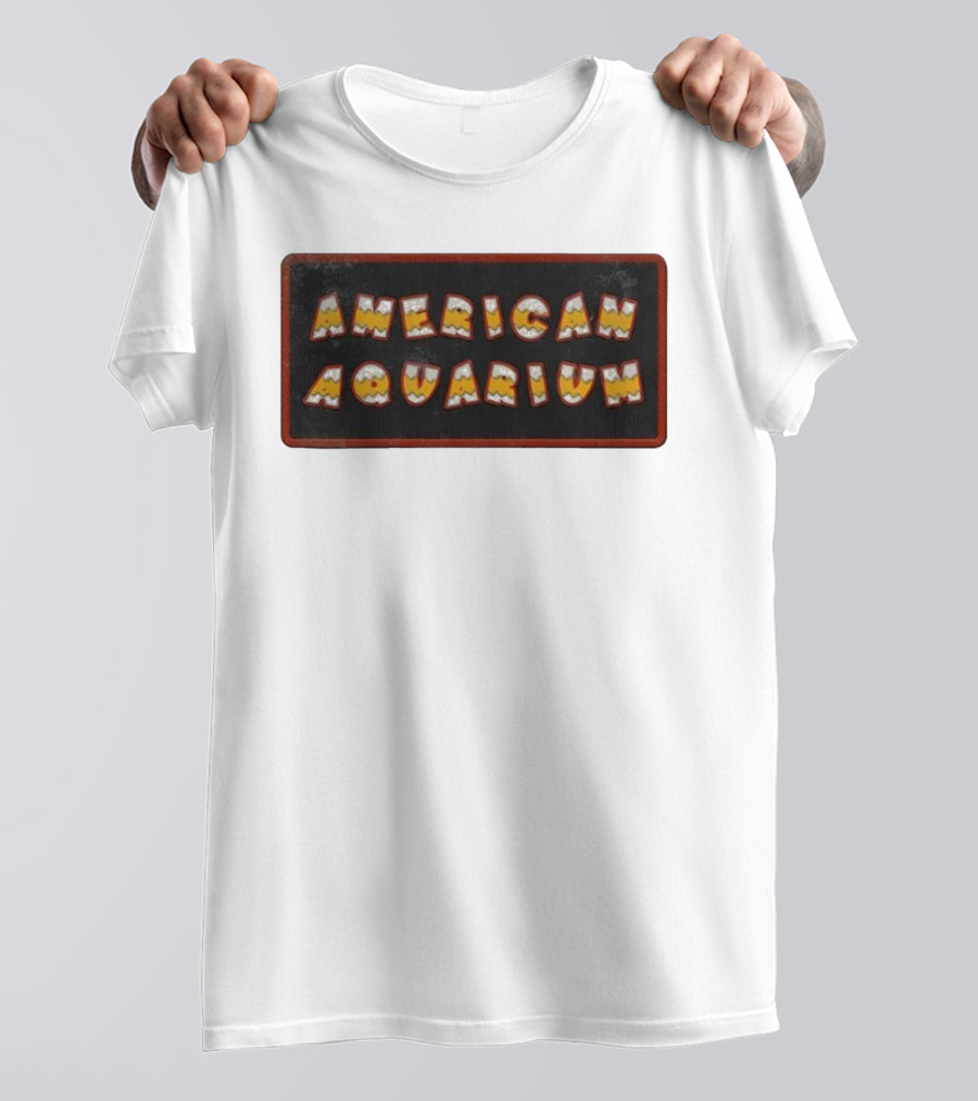American Aquarium Vintage Aesthetic Letters T-Shirt