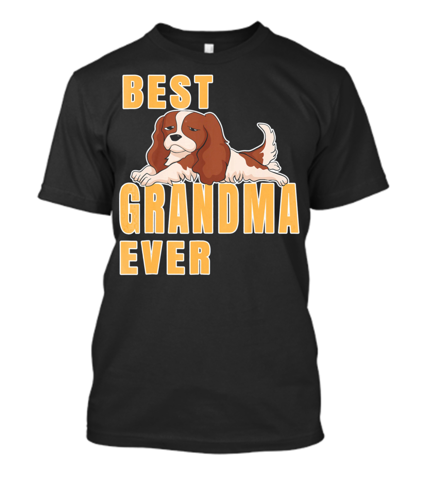Best Cavalier King Charles Spaniel Grandma Ever T-Shirt