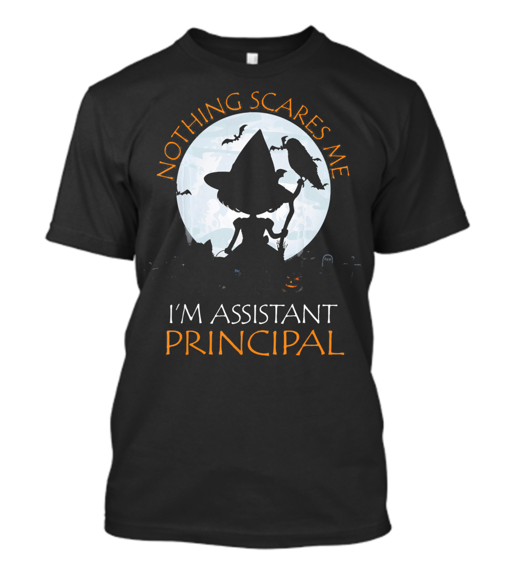 Nothing Scares Me I'm Assistant Principal Witch Moon Ravens T-Shirt