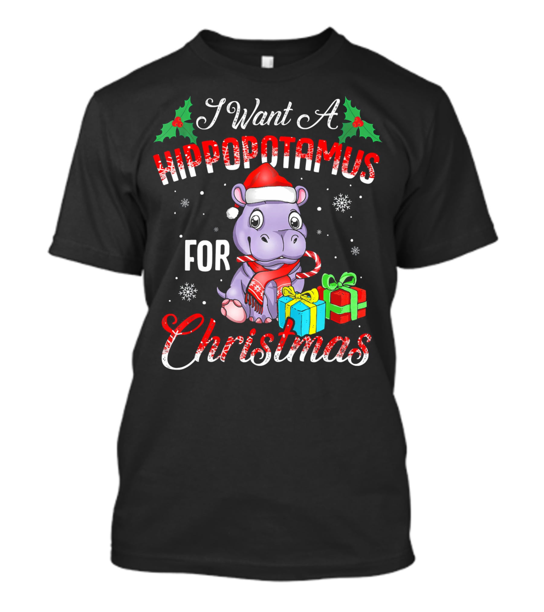 I Want A Hippopotamus For Christmas Funny Hippo Xmas T-Shirt