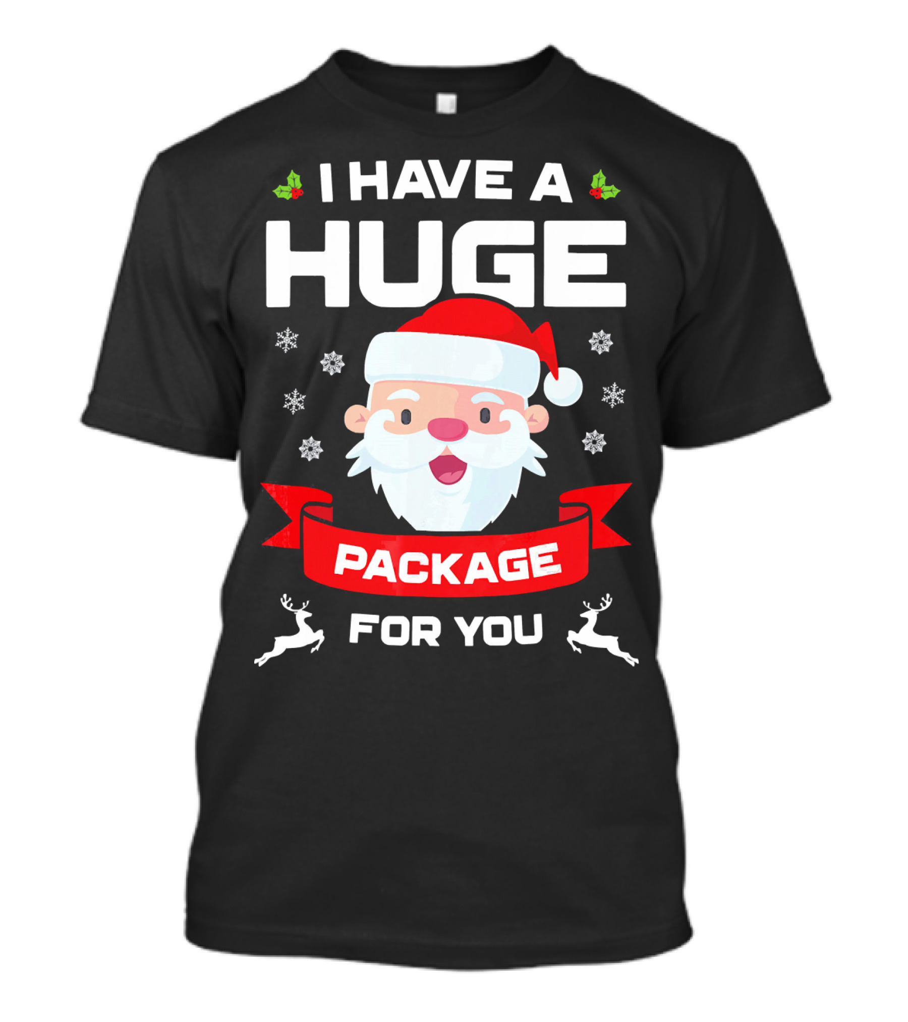 I Have A Huge Package For You Santa Snowflakes Reindeer Christmas T-Shirt